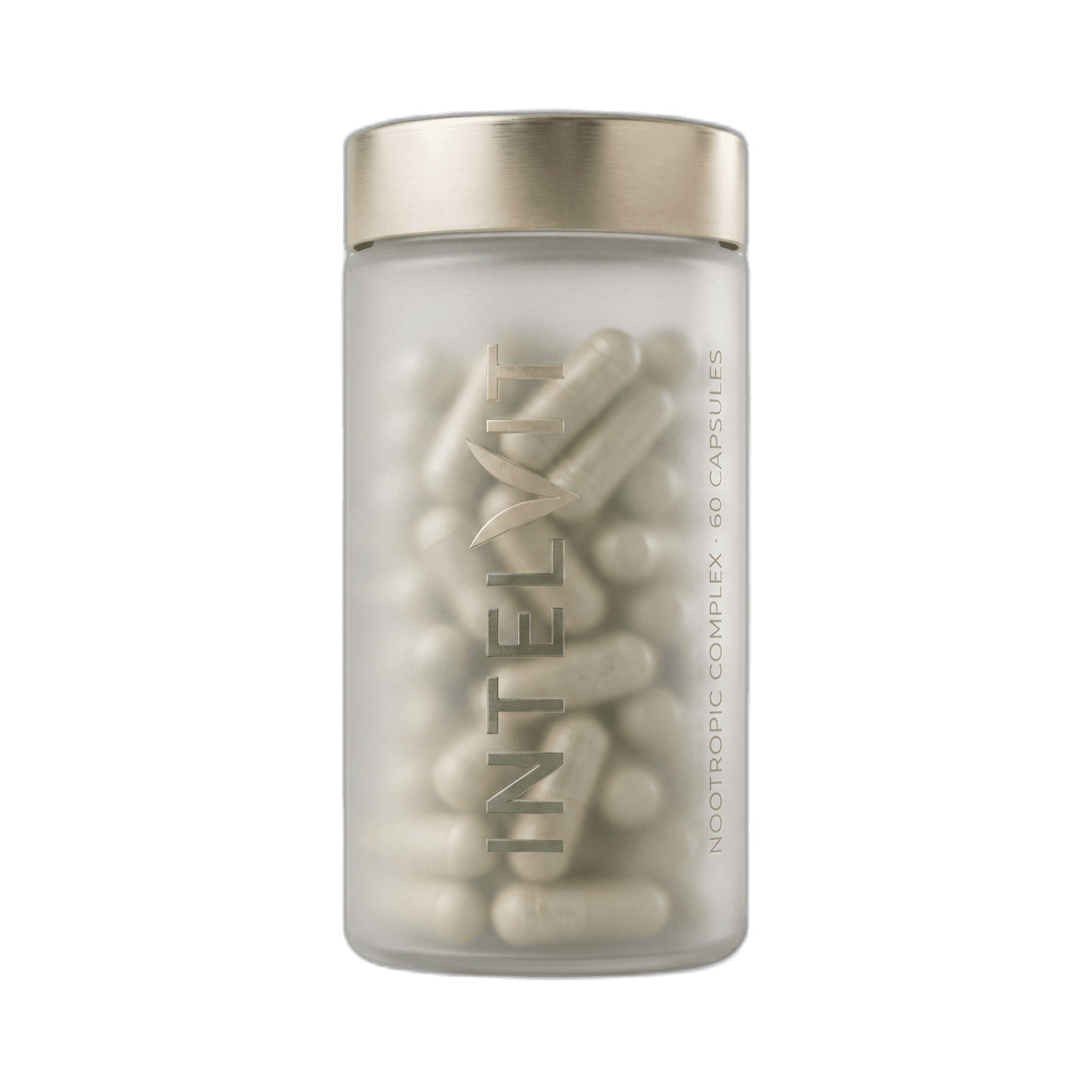 IntelVit Daily — frosted-glass cylindrical bottle, bronze cap, 60 capsules, mushroom-led nootropic complex.