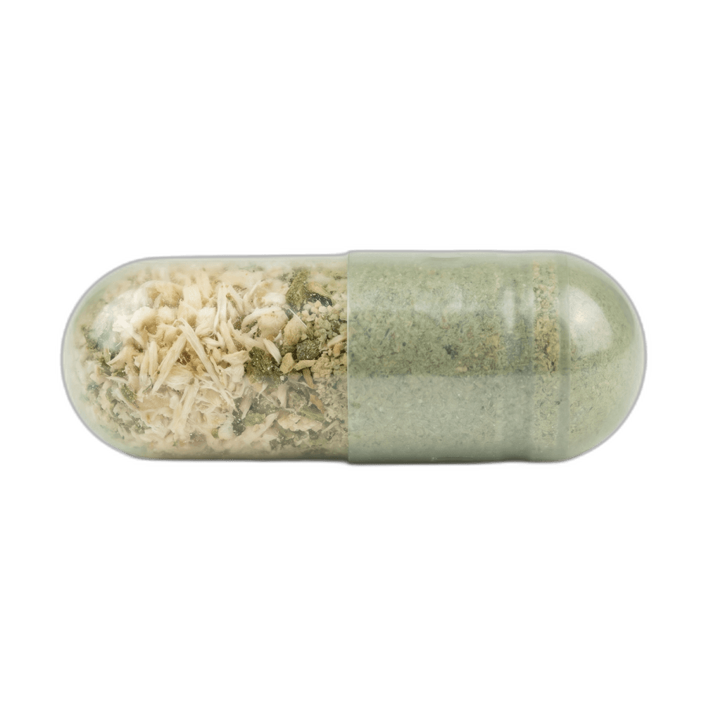 A single IntelVit capsule — semi-transparent matte shell with sage-tinted herbal particles inside